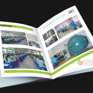 石巖畫冊設計印刷與軟件開發 傳統工藝與現代技術的跨界融合